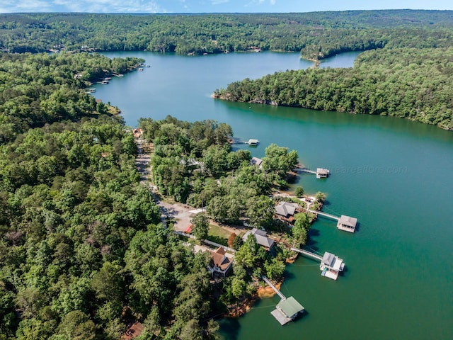 436 Ducktail Rd, Houston, AL 35572 - aerial view of a forest and a nearby body of water