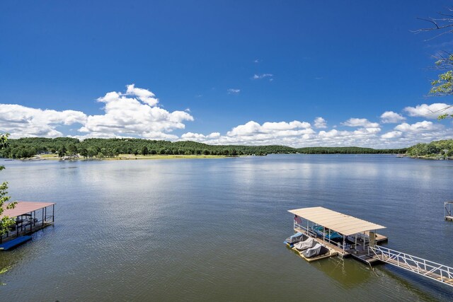 425 County Road 312, Crane Hill, AL 35053 - photo 3