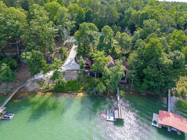 178 Turtle Ln, Houston, AL 35572 - aerial view of property and surrounding area featuring a large body of water