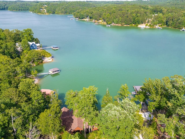 178 Turtle Ln, Houston, AL 35572 - drone / aerial view of a forest and a nearby body of water