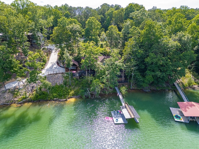 178 Turtle Ln, Houston, AL 35572 - drone / aerial view of a large body of water