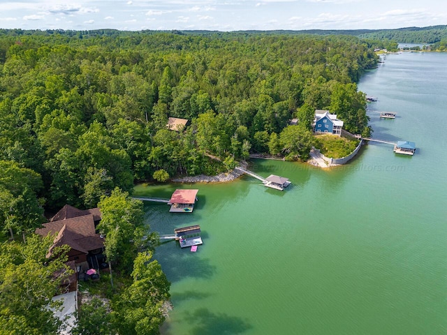 178 Turtle Ln, Houston, AL 35572 - bird's eye view of a forest and a nearby body of water