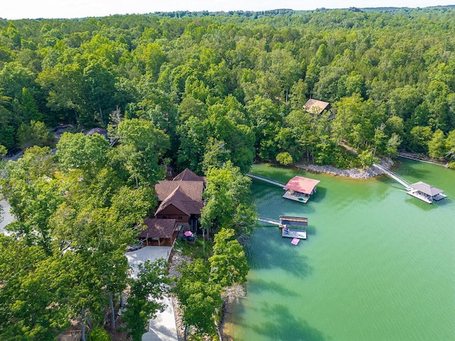 178 Turtle Ln, Houston, AL 35572 - drone / aerial view of a forest and a nearby body of water