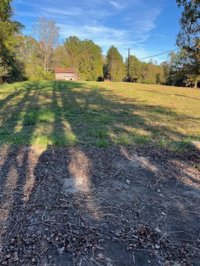 710 Iron Mountain Rd, Carbon Hill, AL 35549 - photo 3