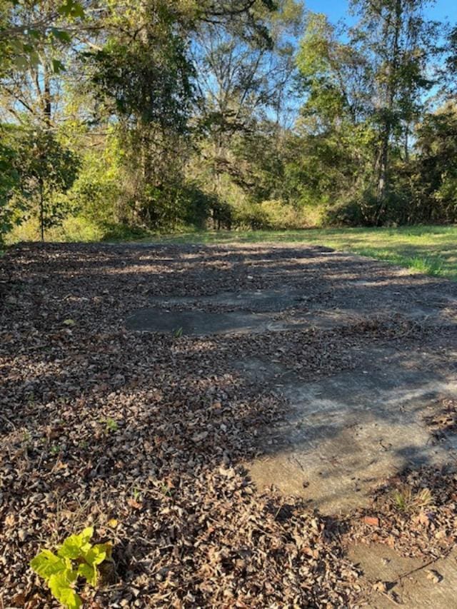 710 Iron Mountain Rd, Carbon Hill, AL 35549 - photo 4