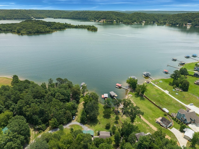 61 County Road 334, Crane Hill, AL 35053 - photo 5