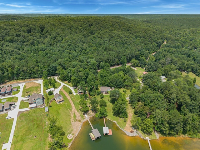 61 County Road 334, Crane Hill, AL 35053 - photo 35