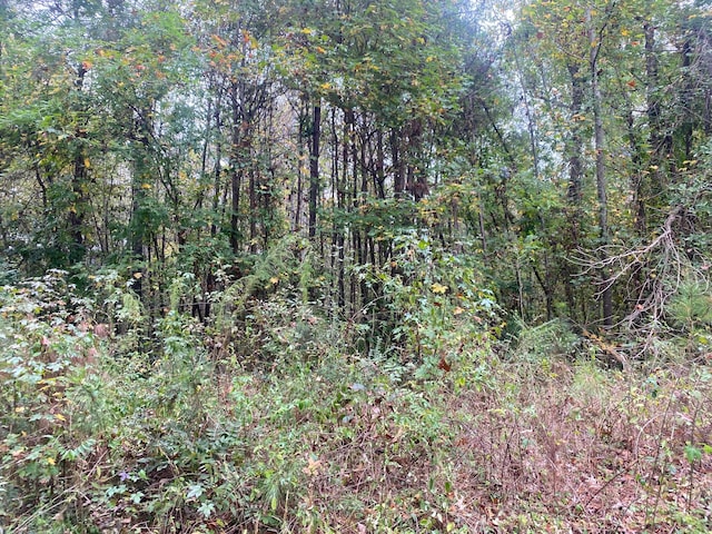 Blackwell Dairy Rd, Jasper, AL 35504 - photo 2