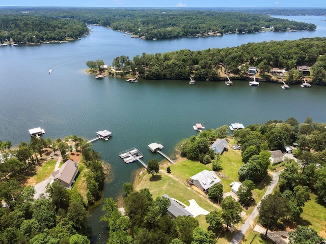 83 Rocky Cove Rd, Arley, AL 35541 - photo 33