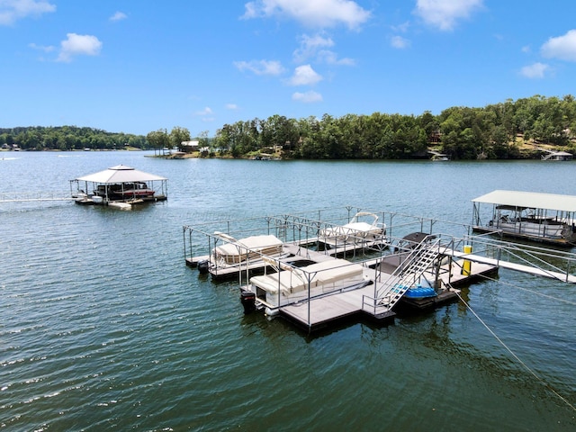 83 Rocky Cove Rd, Arley, AL 35541 - photo 4