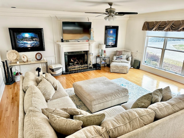 4963 Littleville Rd, Haleyville, AL 35565 - living area featuring crown molding, a ceiling fan, wood finished floors, and a lit fireplace