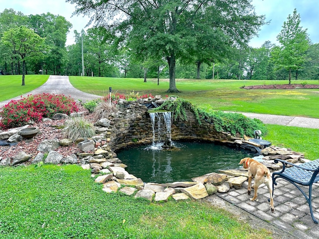 4963 Littleville Rd, Haleyville, AL 35565 - view of property's community with a yard, view of scattered trees, and a small pond