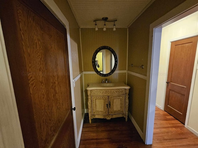 bathroom featuring wood-type flooring and vanity