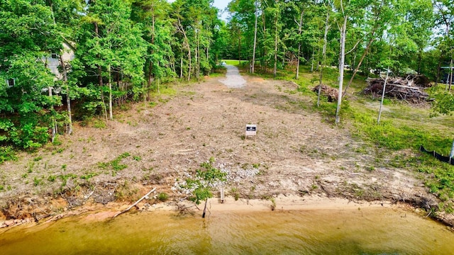 LOT36 Estes Pointe Dr, Arley, AL 35541