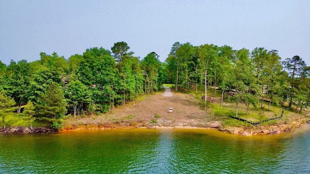 LOT36 Estes Pointe Dr, Arley, AL 35541