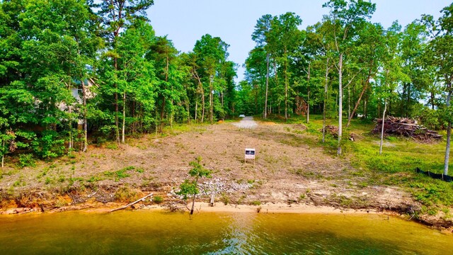 LOT36 Estes Pointe Dr, Arley, AL 35541