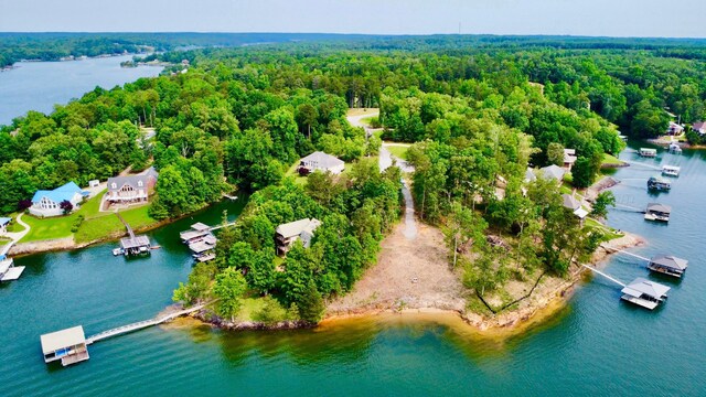 LOT36 Estes Pointe Dr, Arley, AL 35541