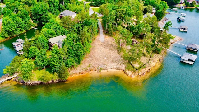 LOT36 Estes Pointe Dr, Arley, AL 35541