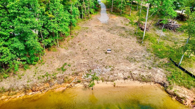 LOT36 Estes Pointe Dr, Arley, AL 35541