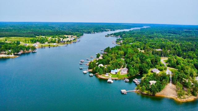 LOT36 Estes Pointe Dr, Arley, AL 35541
