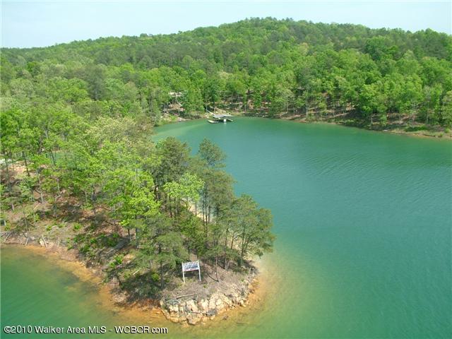 LOT10 Pelican, Arley, AL 35541