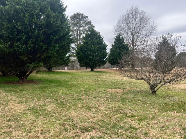 417 Nathan Loop, Arley, AL 35541 - photo 4