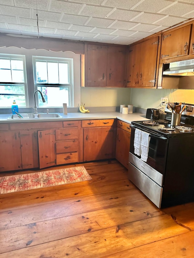 1670 County Highway 47, Winfield, AL 35594 - kitchen with light wood-type flooring, under cabinet range hood, electric stove, a sink, and a wealth of natural light