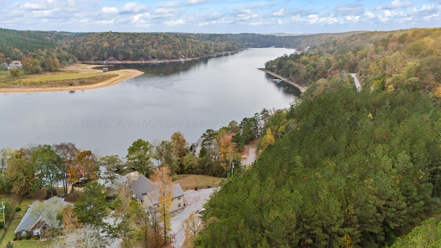 bird's eye view featuring a water view