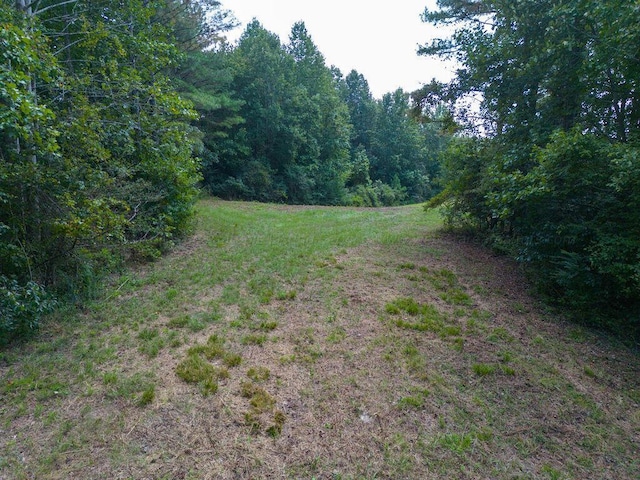 0 County Rd 3003, Double Springs AL, 35553 land for sale