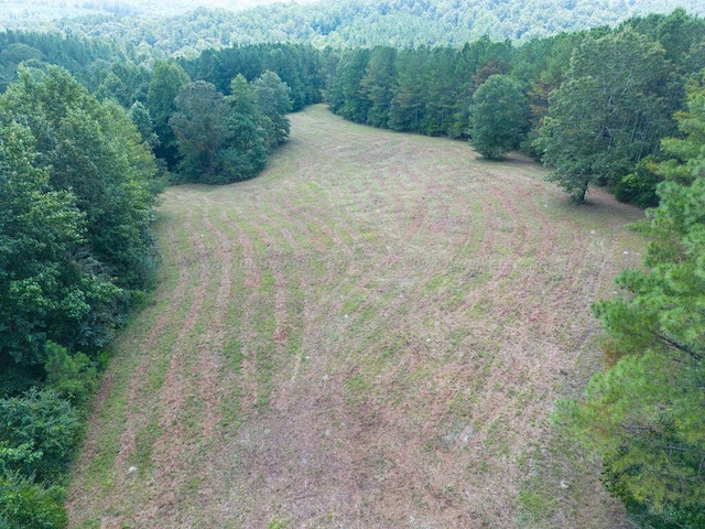 Listing photo 3 for 0 County Rd 3003, Double Springs AL 35553