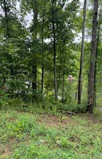 Listing photo 3 for Northpointe Dr, Arley AL 35541