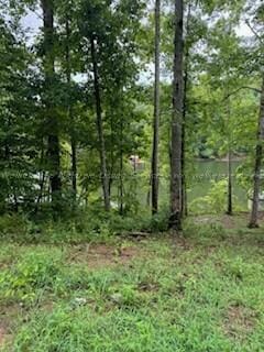 Northpointe Dr, Arley AL, 35541 land for sale