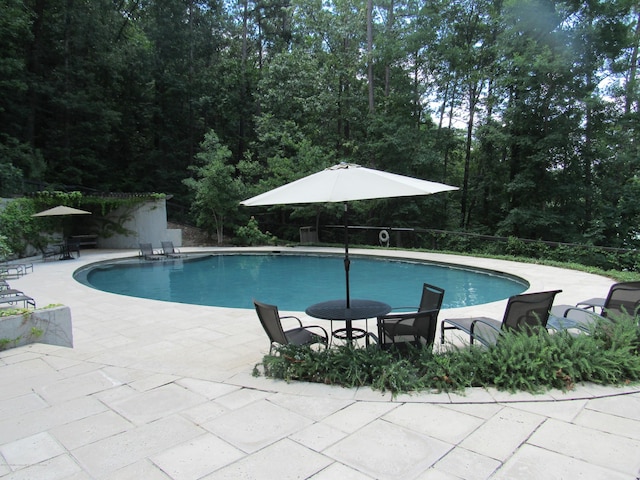 view of pool with a patio area