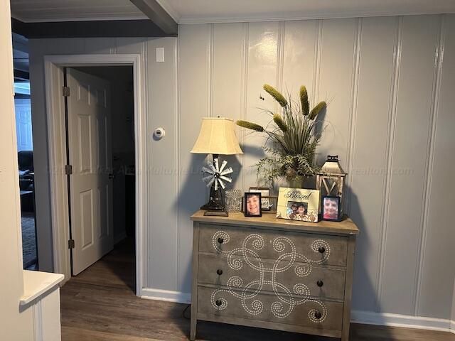 hallway with dark wood-type flooring and ornamental molding