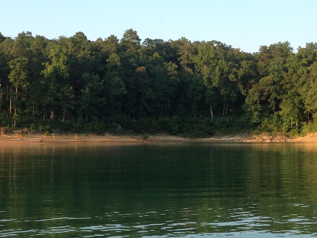 Listing photo 2 for LOT12 Kingfisher Ln, Arley AL 35541