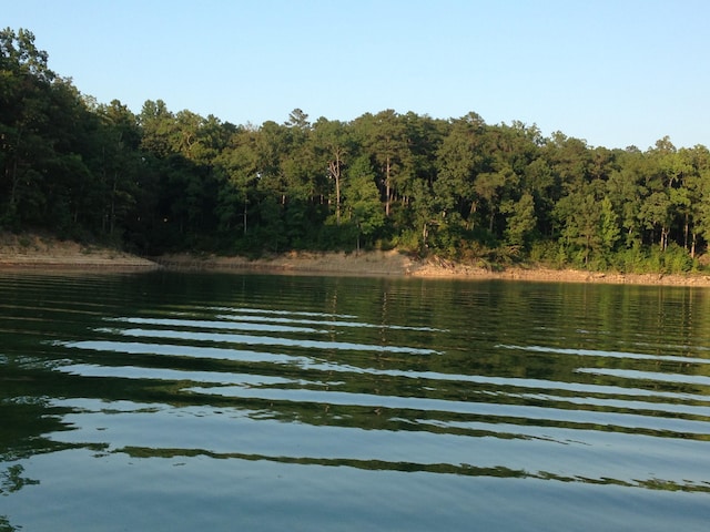 Listing photo 3 for LOT12 Kingfisher Ln, Arley AL 35541