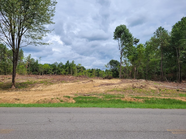 Listing photo 3 for 0 NE College Dr, Hanceville AL 35077