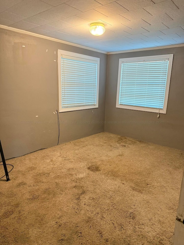 spare room featuring carpet and ornamental molding