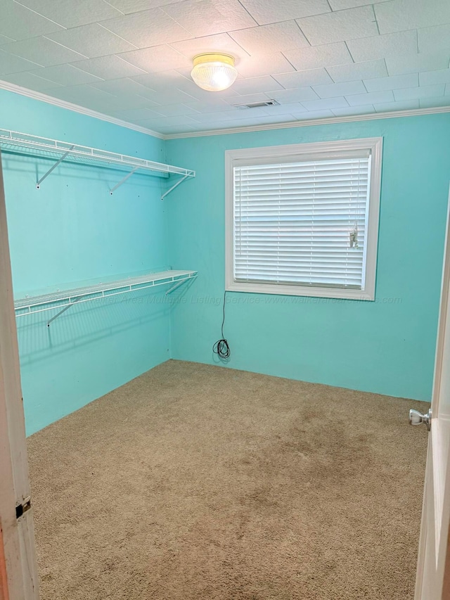 spacious closet with visible vents and carpet floors