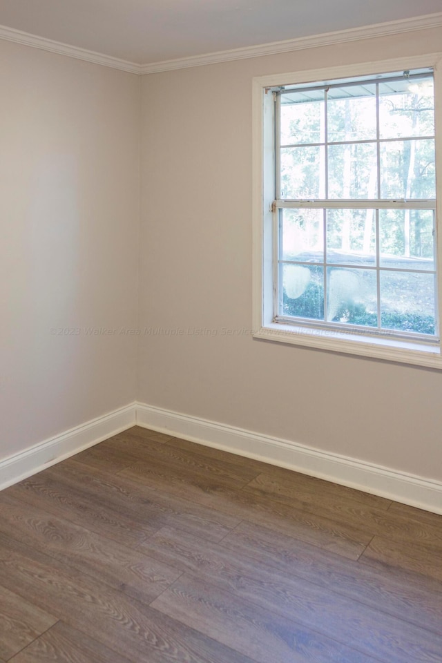 spare room with dark hardwood / wood-style flooring and crown molding