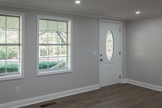 entrance foyer featuring a healthy amount of sunlight, dark hardwood / wood-style flooring, and ornamental molding