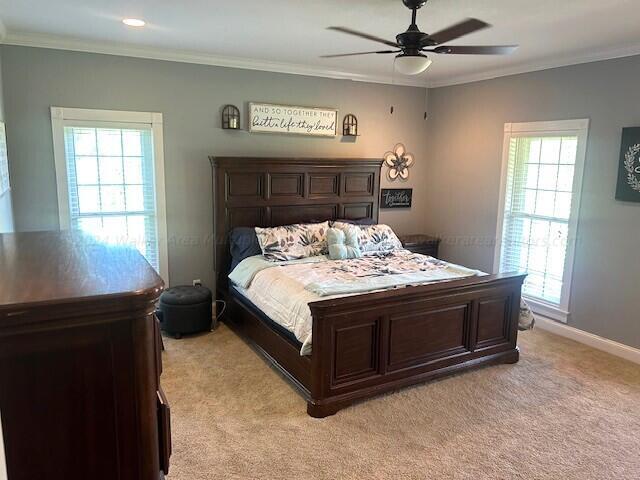 carpeted bedroom with ceiling fan, ornamental molding, and multiple windows