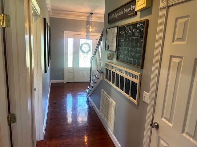 doorway featuring ornamental molding and dark wood-type flooring