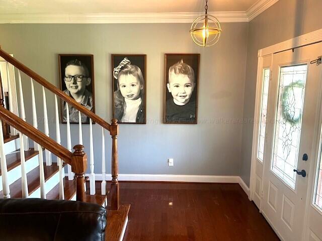 foyer entrance featuring ornamental molding and dark wood-type flooring