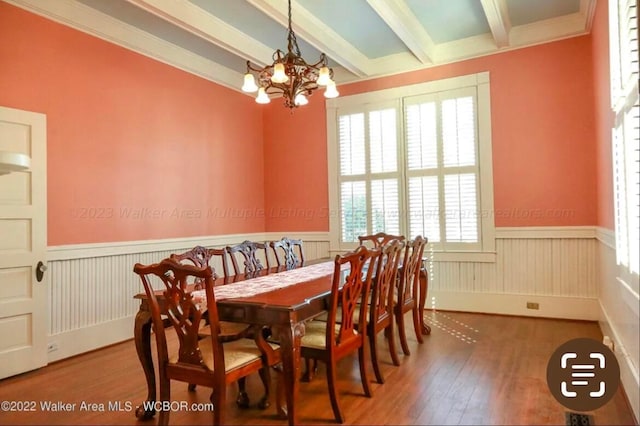 dining area with beam ceiling, hardwood / wood-style flooring, ornamental molding, and a healthy amount of sunlight