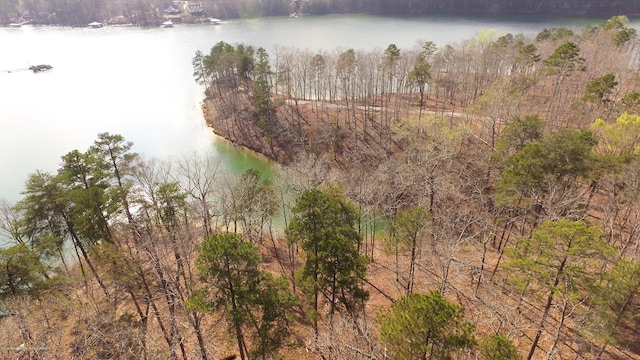 Listing photo 3 for LOT9 County Road 3914, Arley AL 35540