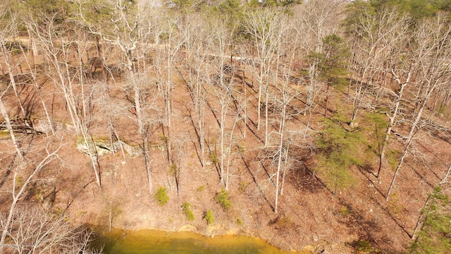 Listing photo 2 for LOT9 County Road 3914, Arley AL 35540