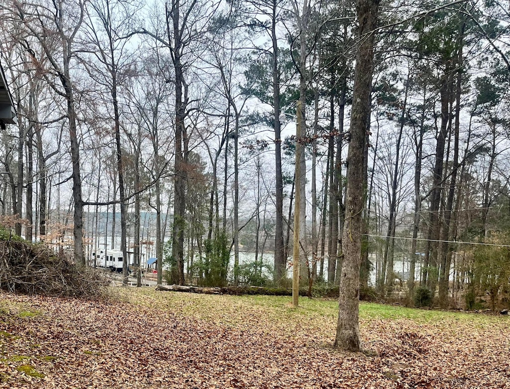 view of yard featuring a water view