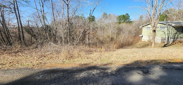 Listing photo 2 for Rivers Edge Trl, Cordova AL 35550