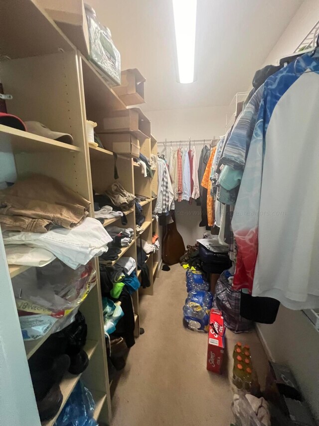 spacious closet featuring carpet